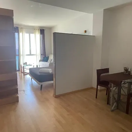Appartement Garibaldi *